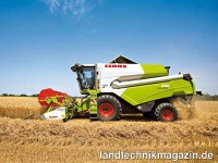 Wie beim Lexion sitzt auch beim Tucano der Korntan