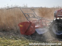 Für die Ernte von dicht stehenden Energiepflanzen