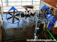 Das neue DeLaval Cow Cooling System wurde speziell