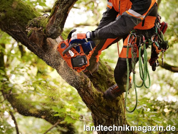 lDie neue Tophandlesäge T536 LiXP von Husqvarna wurde speziell für anspruchsvolle Baumpfleger entwickelt. Sie ist äußerst vibrationsarm, leise und frei von direkten Emissionen. So kann der Baumpfleger sehr komfortabel in einer abgasfreien Umgebung tätig sein – ideal für die Arbeit in den Baumwipfeln.