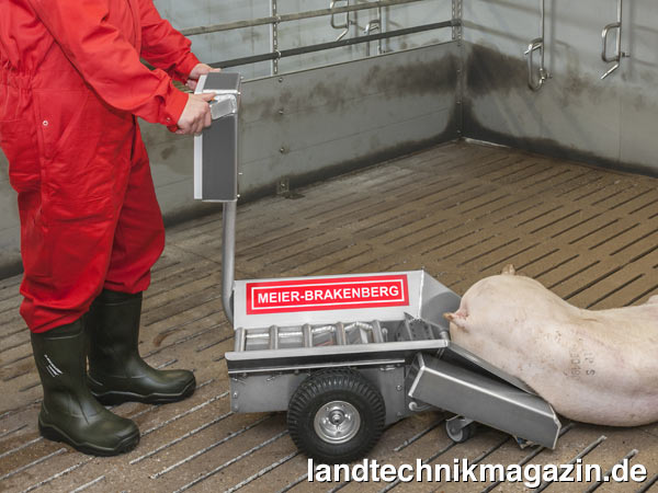 lMeier-Brakenberg präsentiert auf der EuroTier 2014 mit Porky´s Pick Up eine rückenschonende und hygienische Tierentsorgung. Um das Aufladen des Kadavers berührungslos zu ermöglichen, wird das Tier in der Bucht mit einer Aufnahmewalze per Knopfdruck auf den Transporter geladen.