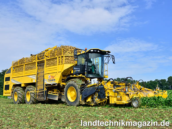 lDer 3-achsige Tiger 5 ist das neue Topmodell unter den ROPA Rübenrodern. Der neue ROPA Tiger 5 ist ab 2015 lieferbar und kann mit den weiterentwickelten PR2h-Rodeaggregate mit 6, 8 oder 9 Reihen in verschiedenen Reihenweiten ausgerüstet werden. Beim Schleglervorsatz kann zwischen Integralschlegler, Schlegler mit Blattauswurf, Allroundschlegler oder Entblatter mit 2 Gummiputzerwellen gewählt werden.