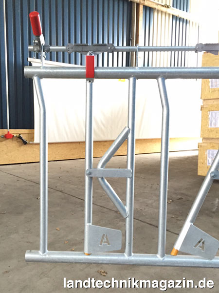lMit den neuen Arntjen Excellent Sicherheitsfanggittern können Kühe in Ruhe fressen und lassen sich manuell selektieren.