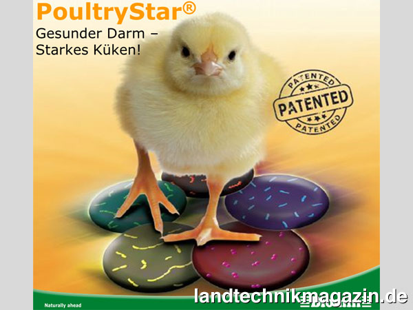 XL-Bild: Winner Innovation Award EuroTier 2016: Poultry Star, Biomin GmbH, Getzersdorf, Österreich.