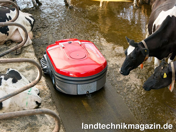 lDer neue Stall-Roboter Lely Discovery 120 Collector saugt Gülle und Mist auf, anstatt sie zu schieben.