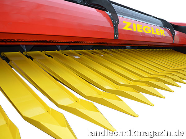 Bild: Spezielle Spitzen teilen beim neuen Ziegler Sonnenblumen-Erntevorsatz Sunflower Champion Row free die Sonnenblumenpflanzen unabhängig von der Fahrtrichtung des Mähdreschers und führen sie dem Schneidwerk zu.
