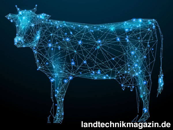 XL-Bild: Die »Smart Farming Studie« der Kleffmann Gruppe will der Frage nachgehen, in wie weit die gläserne Kuh in der Realität angekommen ist. erste Ergebnisse der Studie werden auf der Digital Farming Conference 2019 vorgestellt.