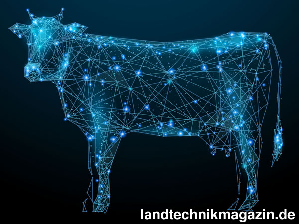 lDie »Smart Farming Studie« der Kleffmann Gruppe will der Frage nachgehen, in wie weit die gläserne Kuh in der Realität angekommen ist. erste Ergebnisse der Studie werden auf der Digital Farming Conference 2019 vorgestellt.