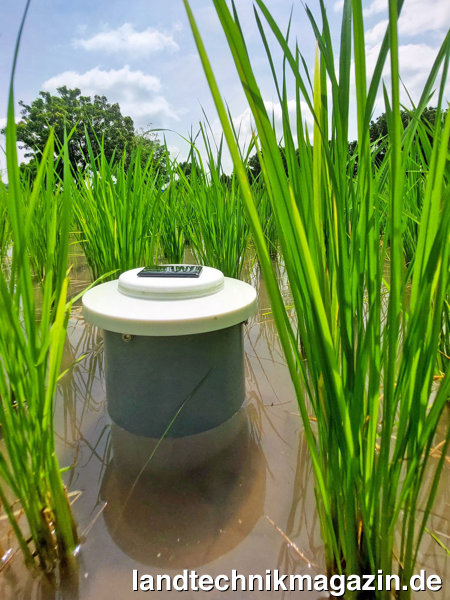 XL-Bild: EIMA Technical Innovation 2022: Pessl Instruments GmbH, METOS FWT – Wasserstandsmesser für den Reisanbau.