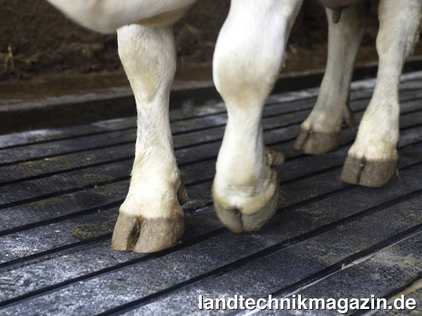 lDie sanft gewölbte und verformbare Fläche zwischen den Rinnen der neuen Rinnenmatte Kraiburg profiDRAIN ist im entlasteten Zustand mit einem sechs-prozentigen Gefälle und leichter Profilierung ausgestattet, damit Flüssigkeit schnell und zuverlässig abgeleitet wird.